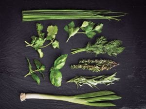 The greenery (parsley, dill, onion)