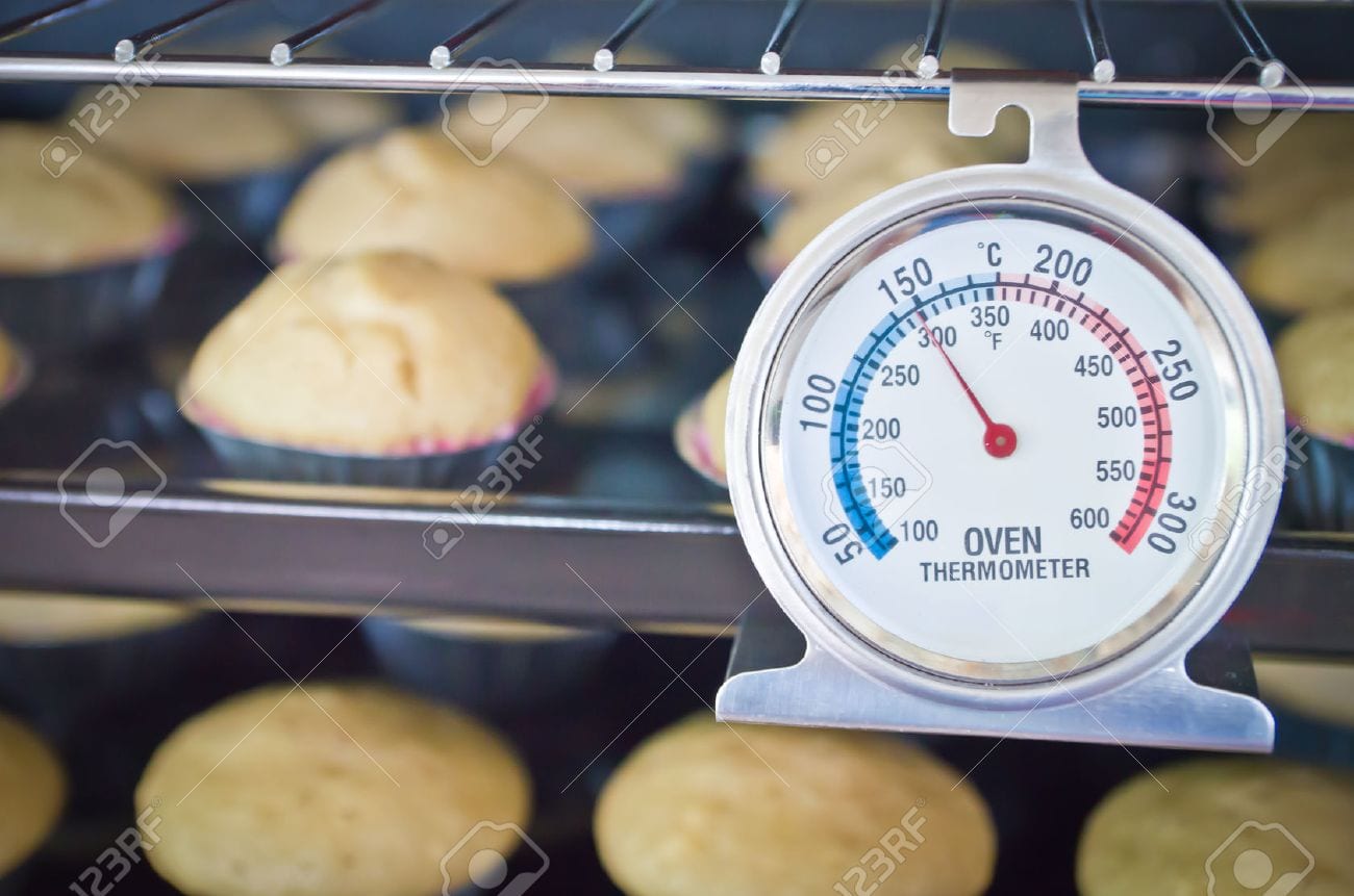 9 Best Oven Thermometers Reviews Cooking Top Gear