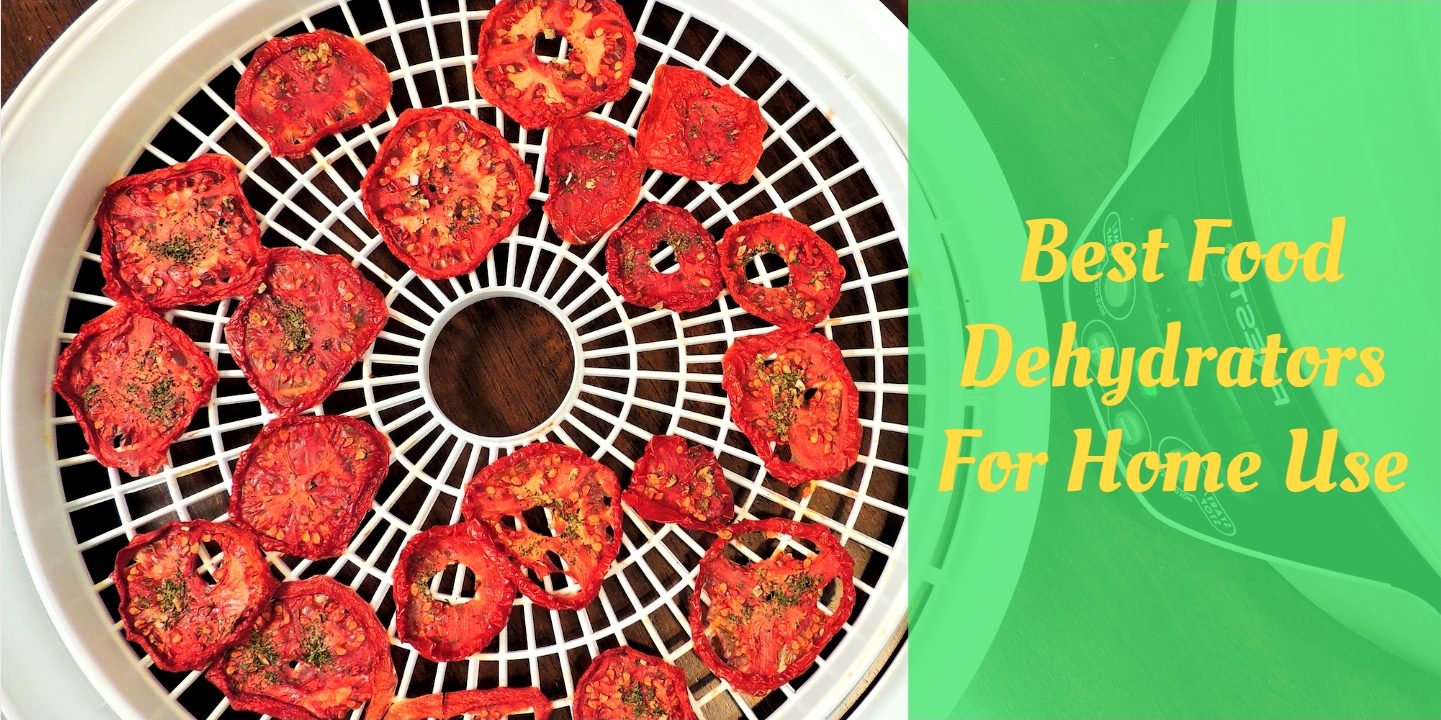 Best Food Dehydrators for Home Use