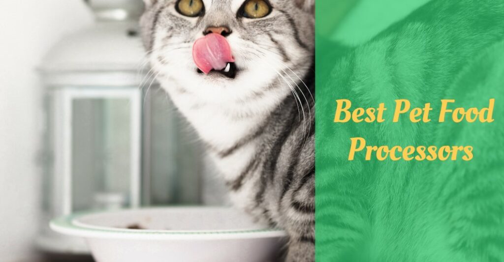 7 Best Pet Food Processors in 2024 Cooking Top Gear